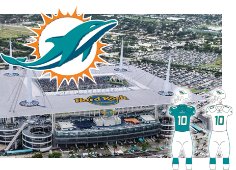Miami Dolphins opponent of the Tampa Bay Buccaneers